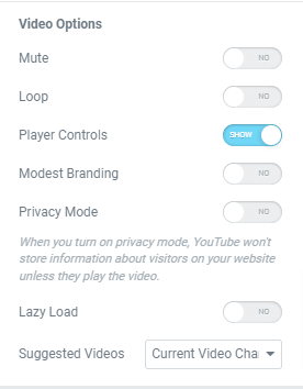Elementor Video options