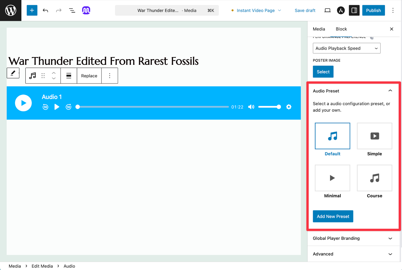 Custom Audio Presets