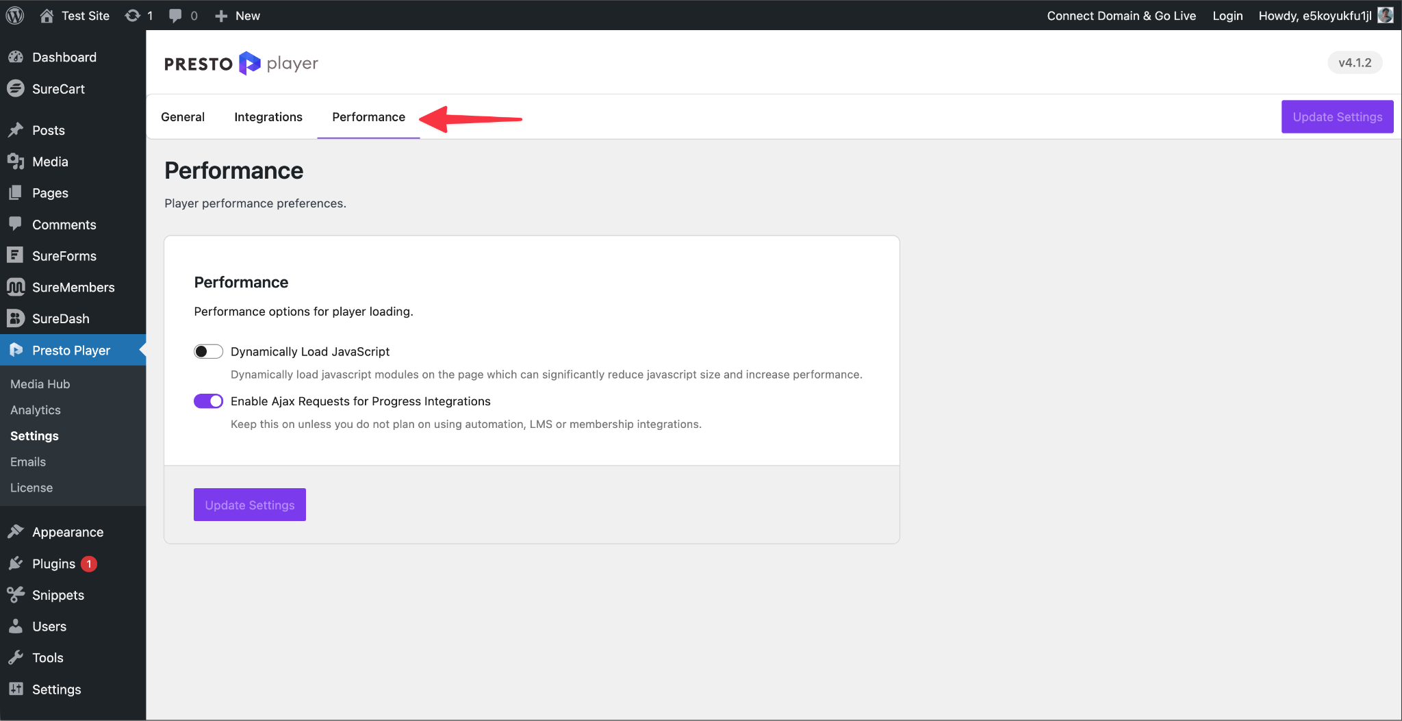 Performance Preferences Explained Performance Settings Tab