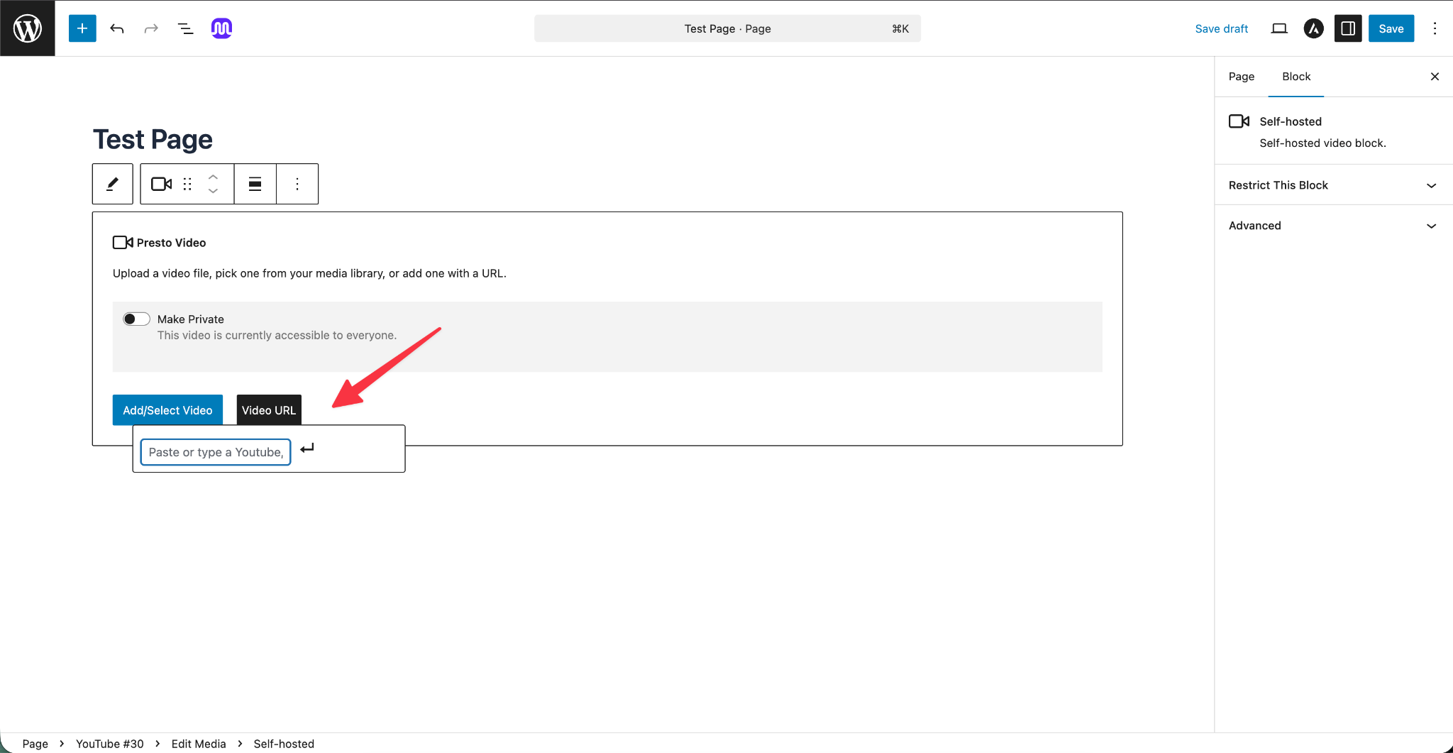 How To Use Presto Player With Any Video Host Gdoc Image 1775200847284 1